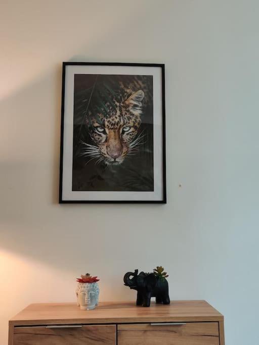 La Jungle Urbaine Avec Garage Prive & Climatisation Daire Perpignan Dış mekan fotoğraf